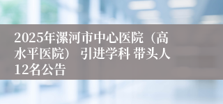 2025年漯河市中心医院（高水平医院） 引进学科 带头人12名公告