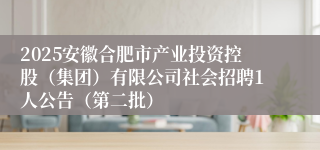 2025安徽合肥市产业投资控股（集团）有限公司社会招聘1人公告（第二批）
