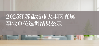 2025江苏盐城市大丰区直属事业单位选调结果公示
