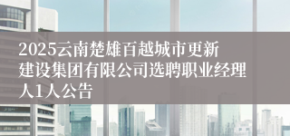 2025云南楚雄百越城市更新建设集团有限公司选聘职业经理人1人公告