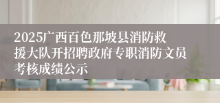 2025广西百色那坡县消防救援大队开招聘政府专职消防文员考核成绩公示