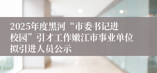 2025年度黑河“市委书记进校园”引才工作嫩江市事业单位拟引进人员公示