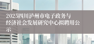 2025四川泸州市电子政务与经济社会发展研究中心拟聘用公示