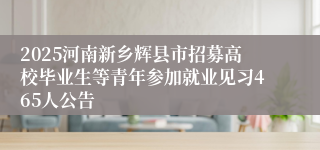2025河南新乡辉县市招募高校毕业生等青年参加就业见习465人公告
