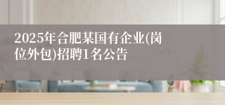 2025年合肥某国有企业(岗位外包)招聘1名公告