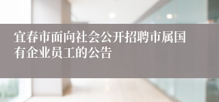 宜春市面向社会公开招聘市属国有企业员工的公告
