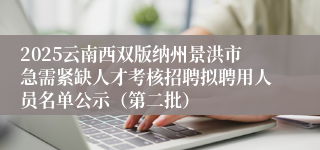 2025云南西双版纳州景洪市急需紧缺人才考核招聘拟聘用人员名单公示（第二批）