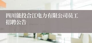 四川能投合江电力有限公司员工招聘公告