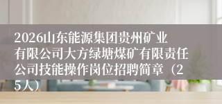2026山东能源集团贵州矿业有限公司大方绿塘煤矿有限责任公司技能操作岗位招聘简章（25人）