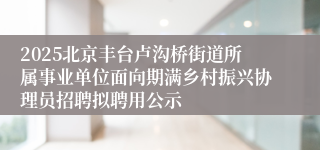2025北京丰台卢沟桥街道所属事业单位面向期满乡村振兴协理员招聘拟聘用公示