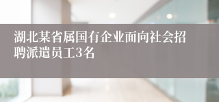 湖北某省属国有企业面向社会招聘派遣员工3名