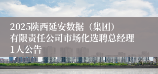 2025陕西延安数据（集团）有限责任公司市场化选聘总经理1人公告