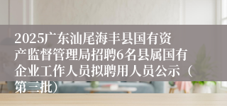 2025广东汕尾海丰县国有资产监督管理局招聘6名县属国有企业工作人员拟聘用人员公示（第三批）