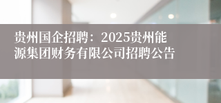 贵州国企招聘：2025贵州能源集团财务有限公司招聘公告