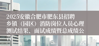 2025安徽合肥市肥东县招聘乡镇（园区）消防岗位人员心理测试结果、面试成绩暨总成绩公告
