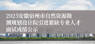 2025安徽宿州市自然资源勘测规划设计院引进紧缺专业人才面试成绩公示