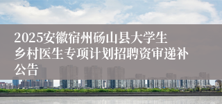 2025安徽宿州砀山县大学生乡村医生专项计划招聘资审递补公告