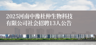 2025河南中豫杜仲生物科技有限公司社会招聘13人公告