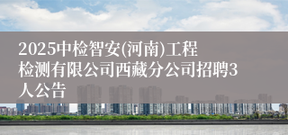 2025中检智安(河南)工程检测有限公司西藏分公司招聘3人公告