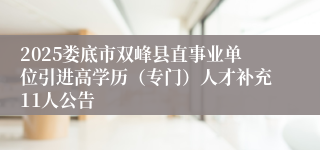 2025娄底市双峰县直事业单位引进高学历（专门）人才补充11人公告