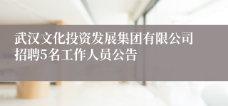 武汉文化投资发展集团有限公司招聘5名工作人员公告