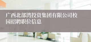 广西北部湾投资集团有限公司校园招聘职位信息