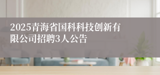 2025青海省国科科技创新有限公司招聘3人公告