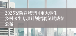 2025安徽宣城宁国市大学生乡村医生专项计划招聘笔试成绩公布