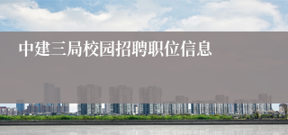 中建三局校园招聘职位信息
