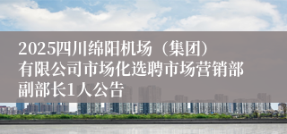 2025四川绵阳机场(集团)有限公司市场化选聘市场营销部副部长1人公告