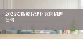 2026安徽数智建材究院招聘公告