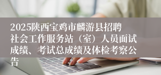 2025陕西宝鸡市麟游县招聘社会工作服务站（室）人员面试成绩、考试总成绩及体检考察公告