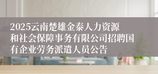 2025云南楚雄金泰人力资源和社会保障事务有限公司招聘国有企业劳务派遣人员公告