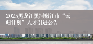 2025黑龙江黑河嫩江市“云归计划”人才引进公告              