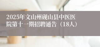 2025年文山州砚山县中医医院第十一期招聘通告（18人）