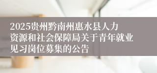 2025贵州黔南州惠水县人力资源和社会保障局关于青年就业见习岗位募集的公告