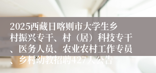 2025西藏日喀则市大学生乡村振兴专干、村（居）科技专干、医务人员、农业农村工作专员、乡村幼教招聘427人公告
