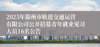 2025年滁州市轨道交通运营有限公司公开招募青年就业见习人员16名公告