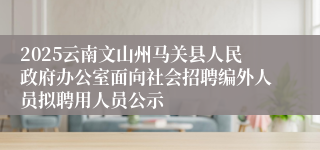 2025云南文山州马关县人民政府办公室面向社会招聘编外人员拟聘用人员公示