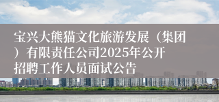 宝兴大熊猫文化旅游发展（集团）有限责任公司2025年公开招聘工作人员面试公告