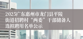 2025广东惠州市龙门县平陵街道招聘村“两委”干部储备人选拟聘用名单公示