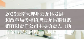2025云南大理州云龙县发展和改革局考核招聘云龙县粮食购销有限责任公司主要负责人（执行董事兼总经理）拟聘用人员公示