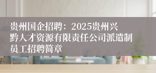 贵州国企招聘：2025贵州兴黔人才资源有限责任公司派遣制员工招聘简章