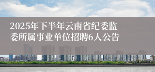 2025年下半年云南省纪委监委所属事业单位招聘6人公告