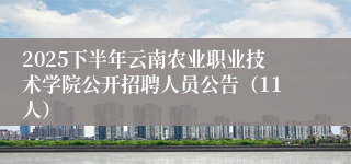 2025下半年云南农业职业技术学院公开招聘人员公告（11人）