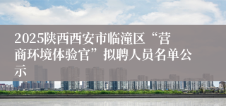 2025陕西西安市临潼区“营商环境体验官”拟聘人员名单公示