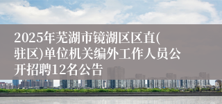 2025年芜湖市镜湖区区直(驻区)单位机关编外工作人员公开招聘12名公告