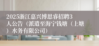 2025浙江嘉兴博思睿招聘3人公告（派遣至海宁钱塘（上塘）水务有限公司）