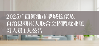 2025广西河池市罗城仫佬族自治县残疾人联合会招聘就业见习人员1人公告