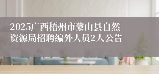 2025广西梧州市蒙山县自然资源局招聘编外人员2人公告